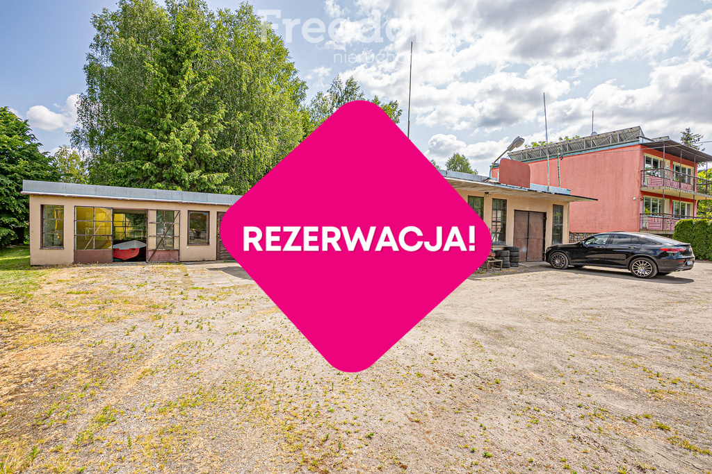 Zdjęcie główne 931448
