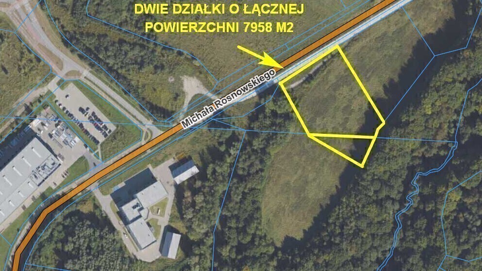 Zdjęcie główne 933079