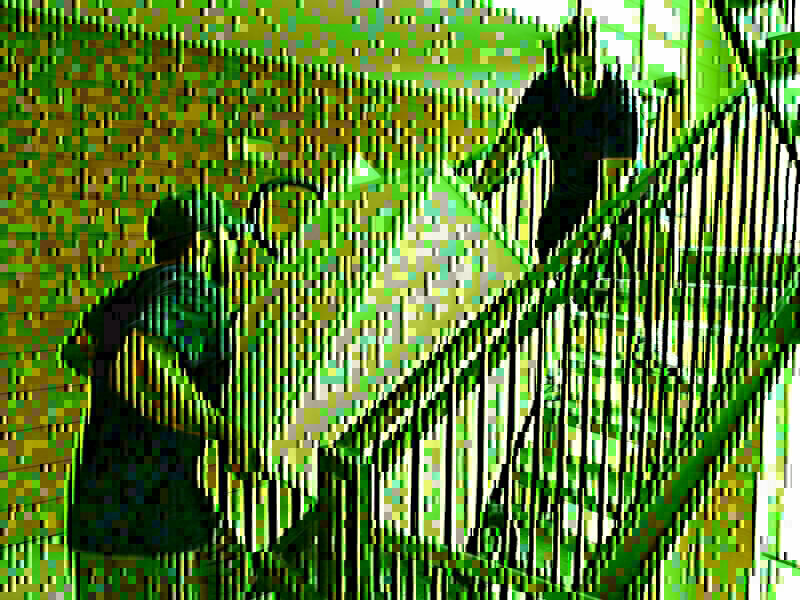 Zdjęcie główne 872638