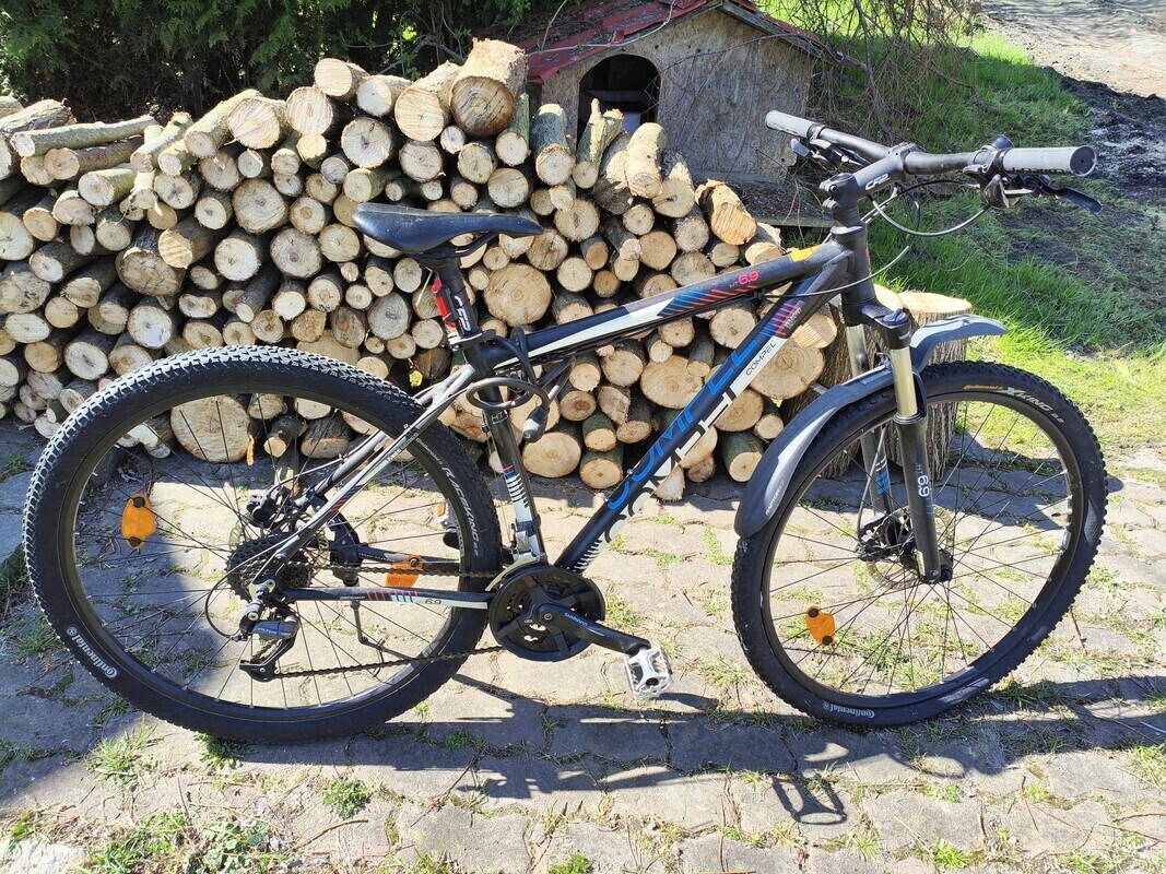 Zdjęcie główne 926079