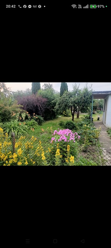 Zdjęcie główne 927815