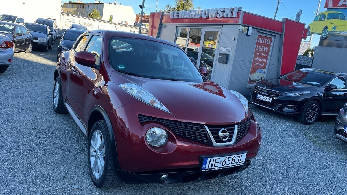 Zdjęcie główne 923968