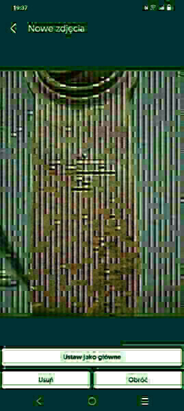 Zdjęcie główne 928267