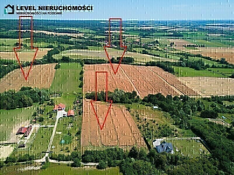 Zdjęcie główne 872481