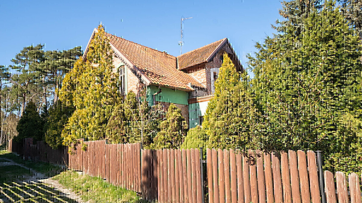Zdjęcie główne 932176
