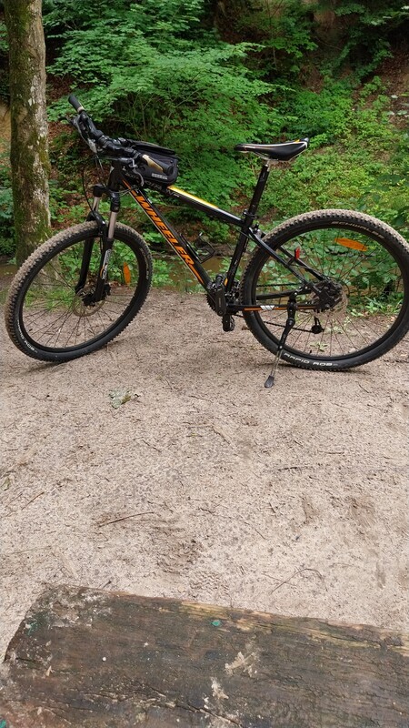 Zdjęcie główne 930445