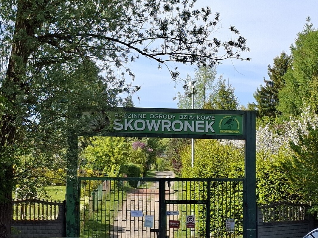 Zdjęcie główne 927895
