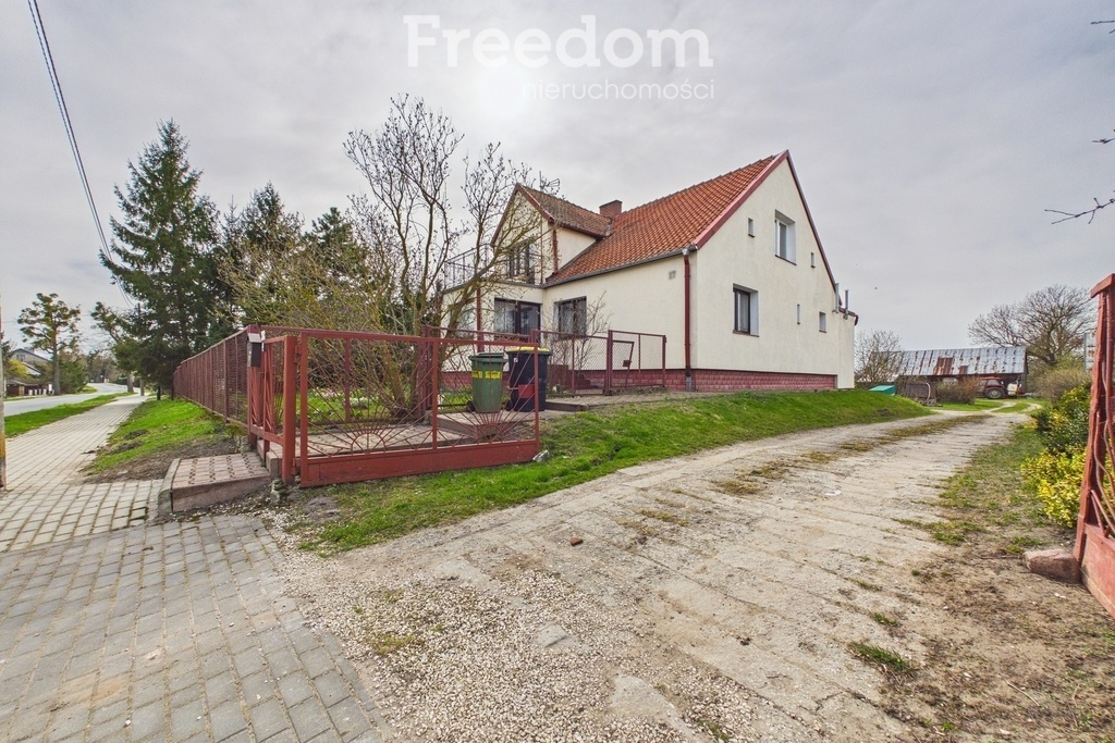 Zdjęcie główne 930009