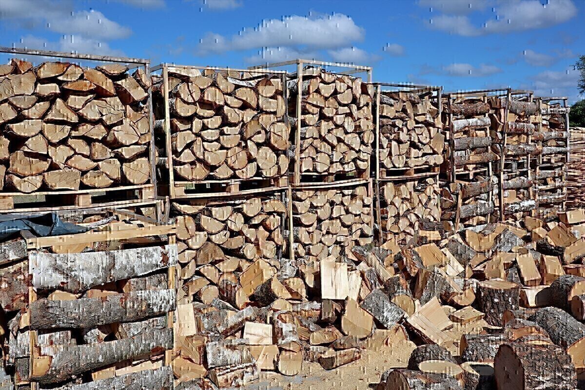 Zdjęcie główne 932678