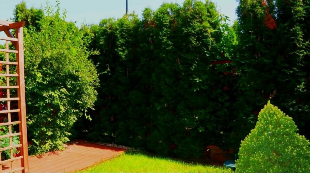 Zdjęcie główne 928464