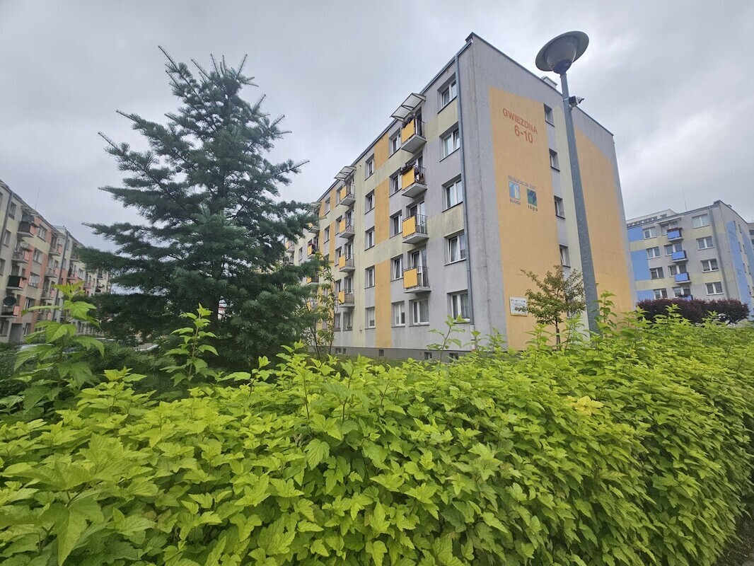 Zdjęcie główne 872216