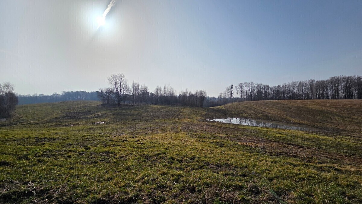 Zdjęcie główne 931803