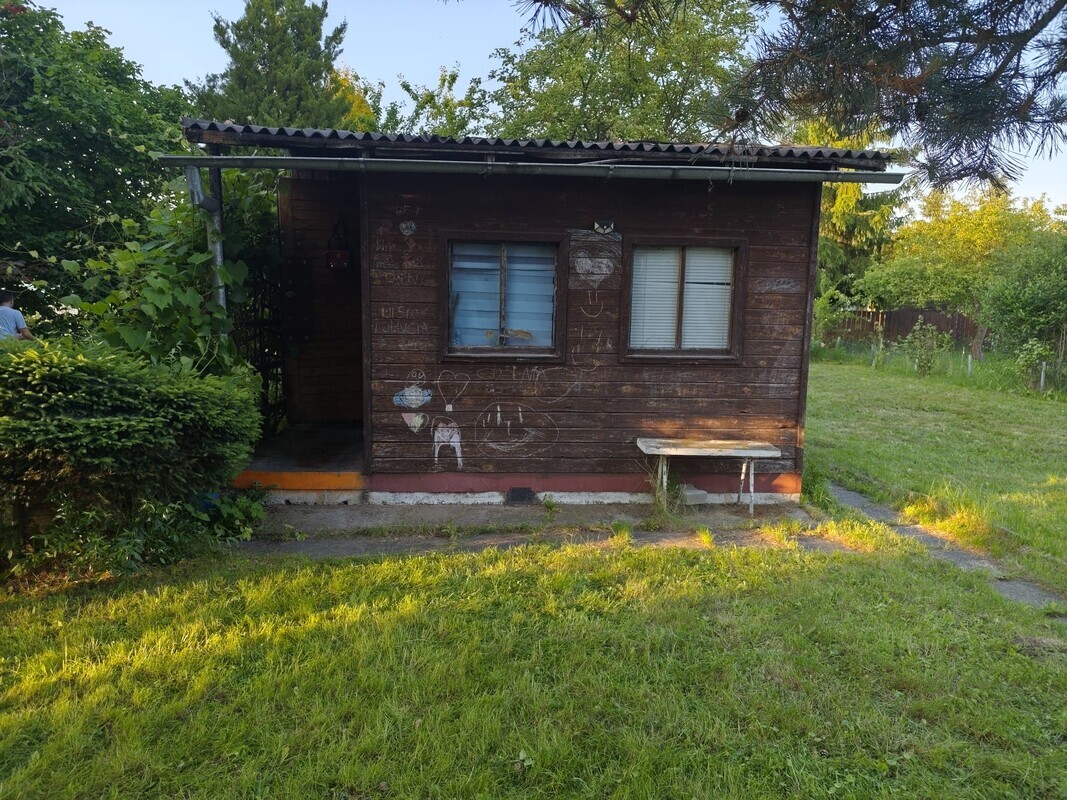 Zdjęcie główne 928137