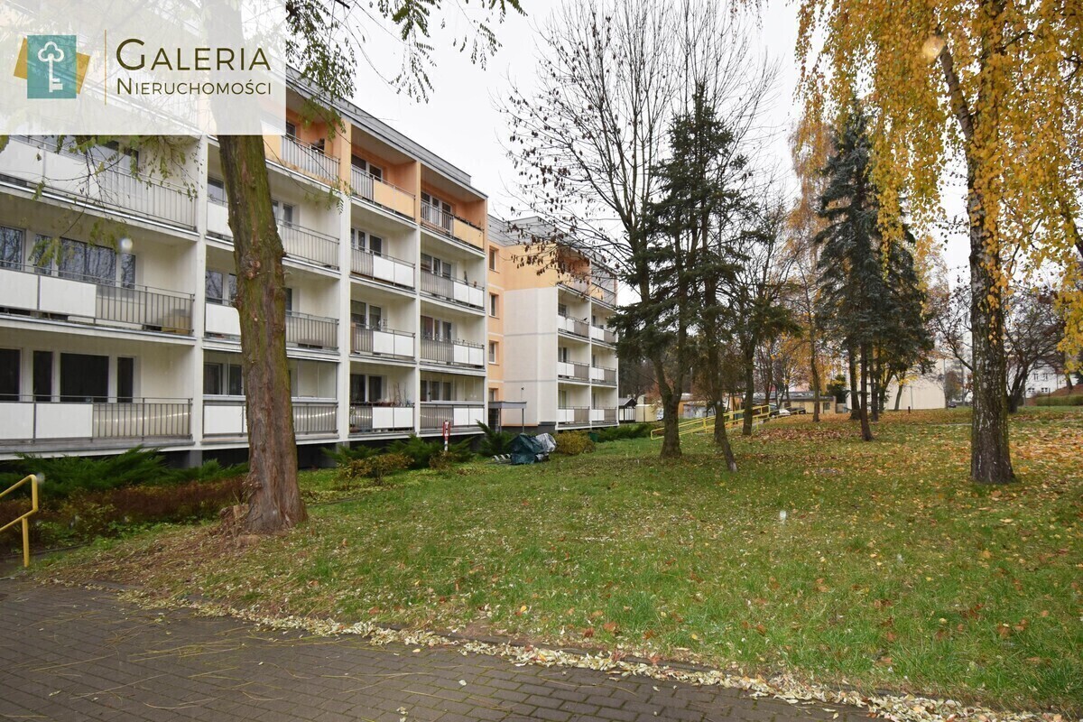 Zdjęcie główne 925635