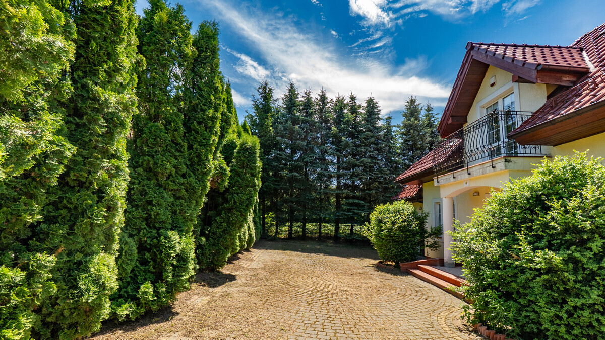 Zdjęcie główne 939592