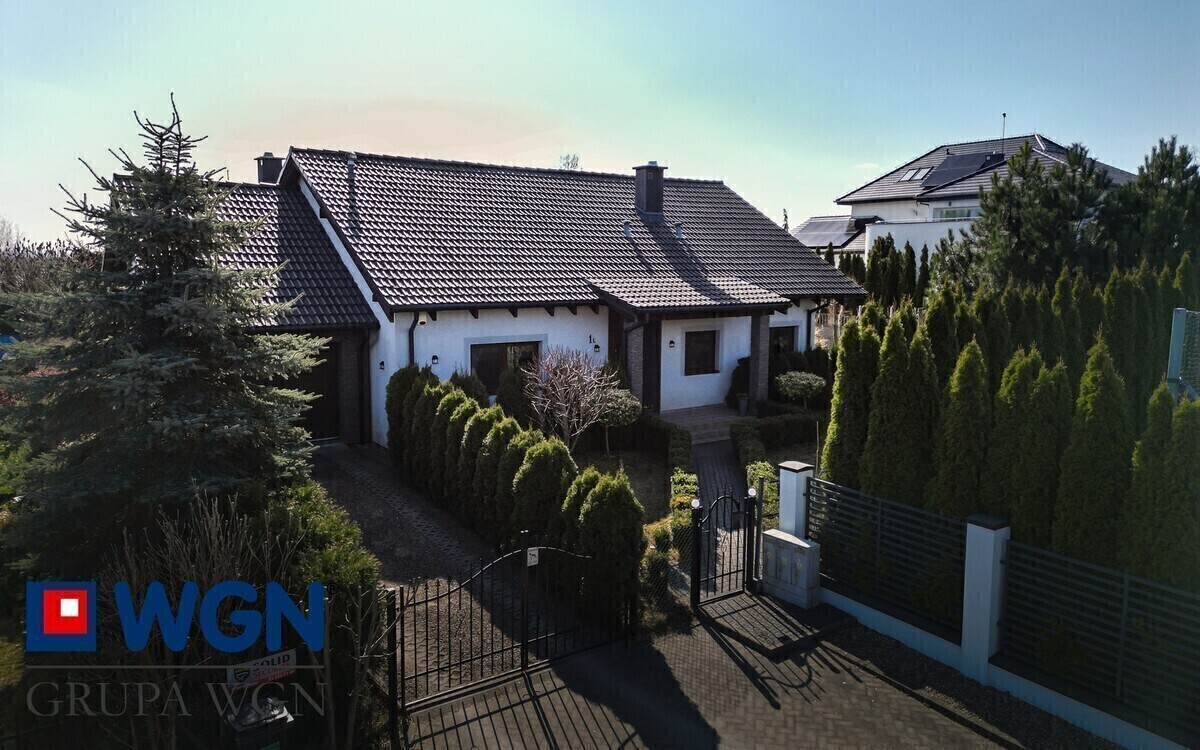 Zdjęcie główne 924165