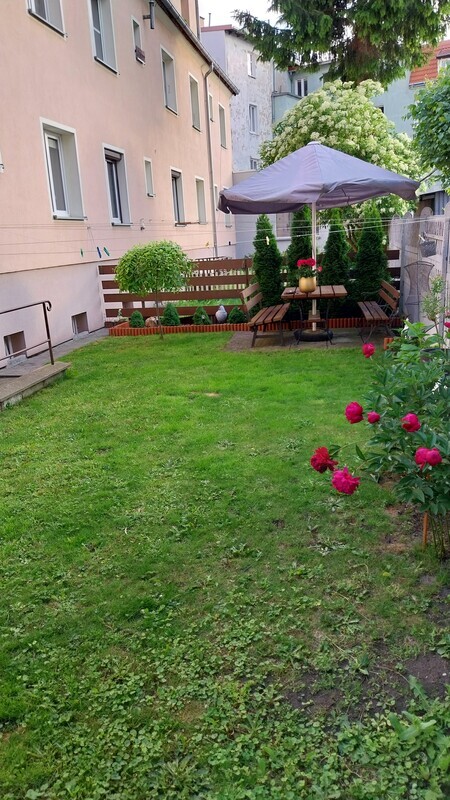 Zdjęcie główne 925366