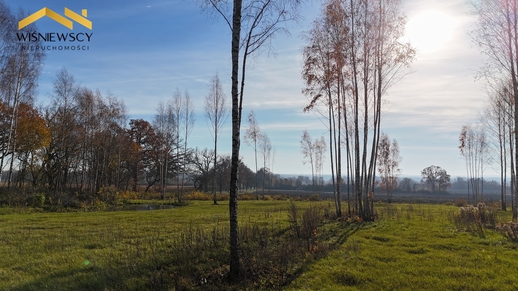 Zdjęcie główne 895889