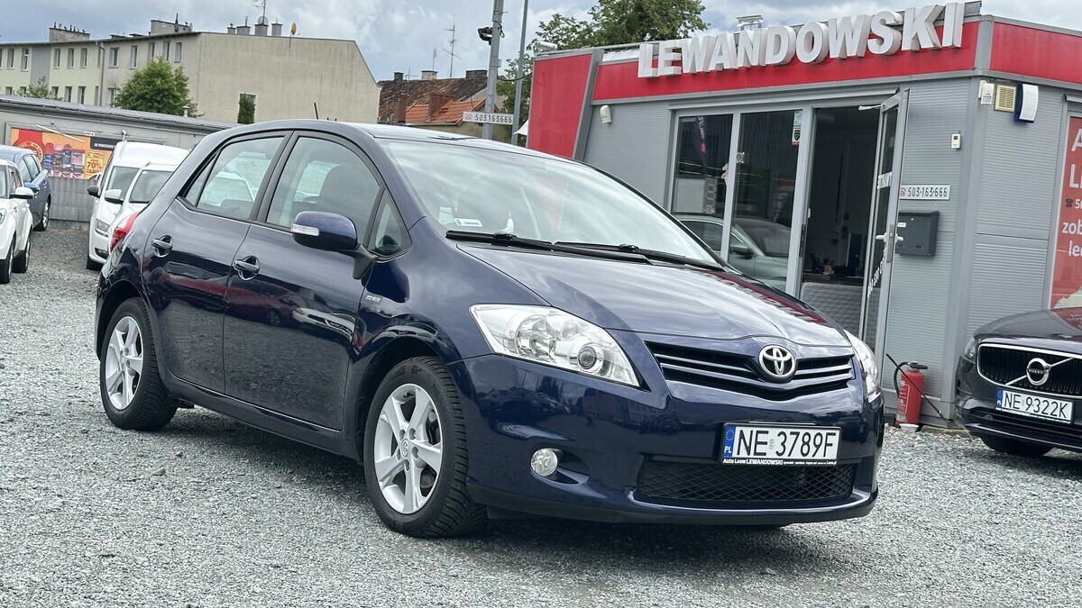 Zdjęcie główne 925275