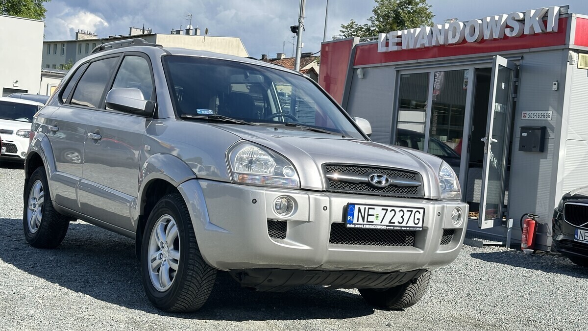 Zdjęcie główne 924624