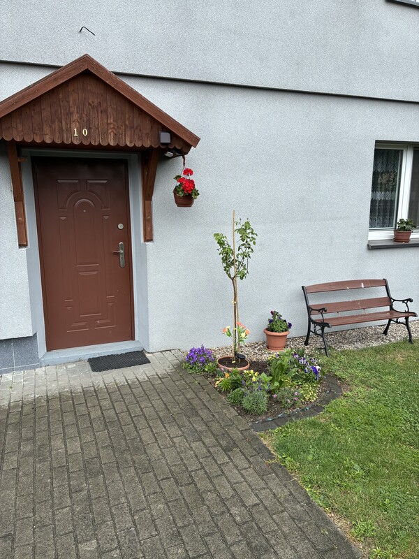 Zdjęcie główne 928059