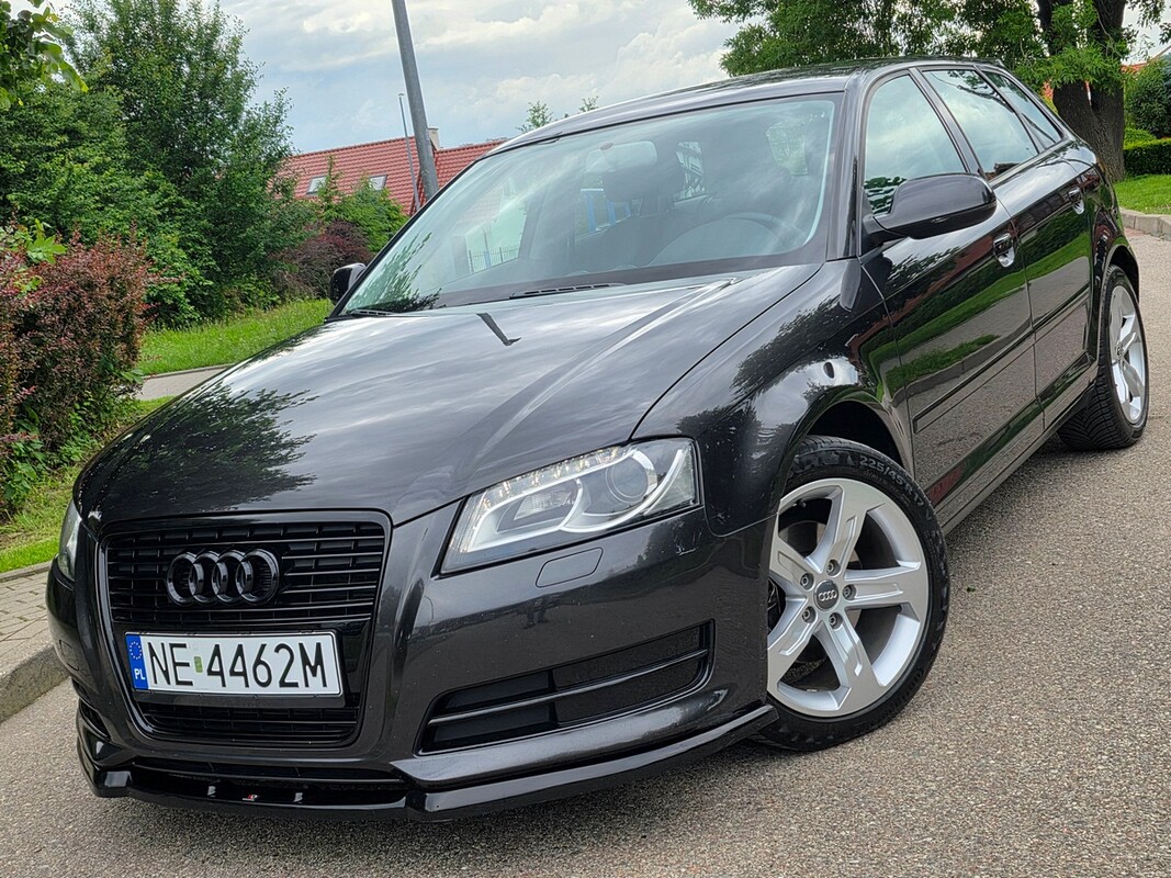 Zdjęcie główne 930393