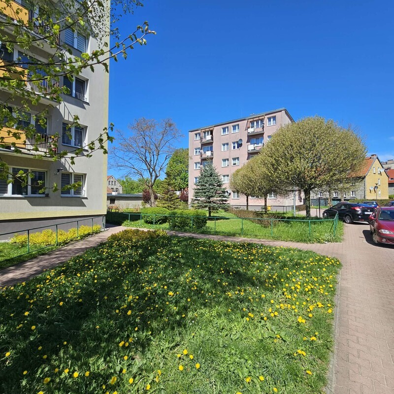 Zdjęcie główne 924724