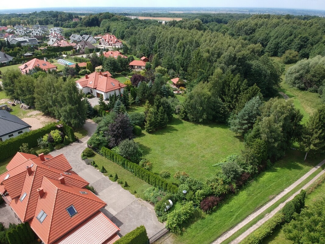 Zdjęcie główne 931802