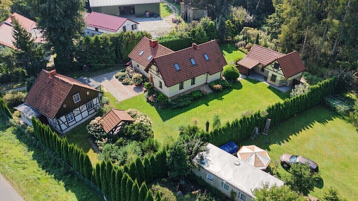 Zdjęcie główne 929057