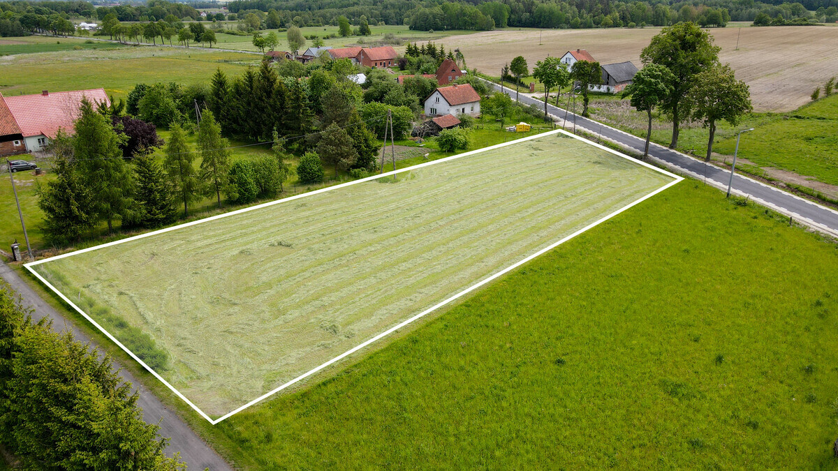 Zdjęcie główne 940343