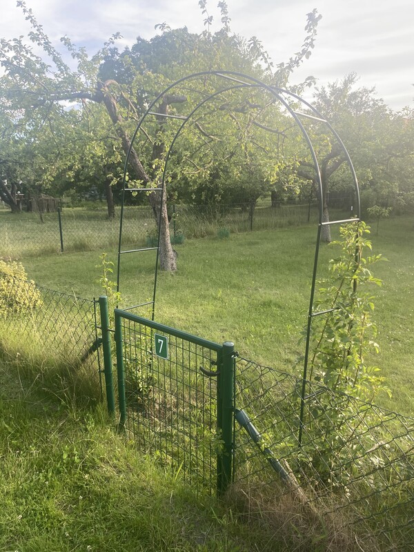 Zdjęcie główne 926090
