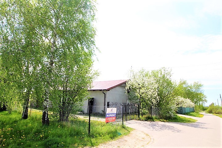 Zdjęcie główne 925288