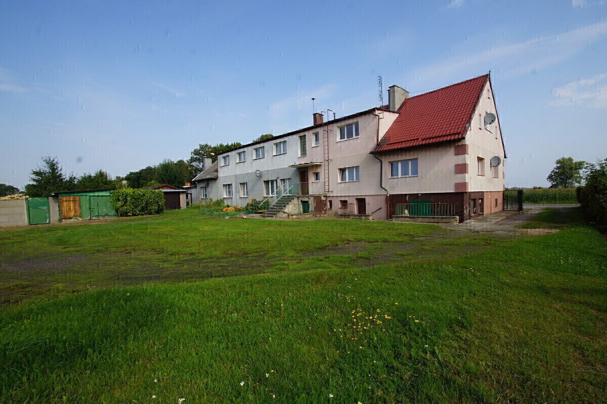Zdjęcie główne 925459