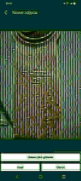 Zdjęcie główne 933239