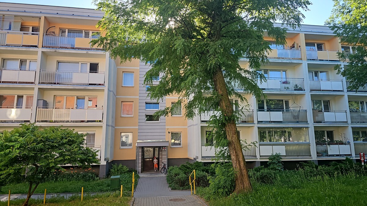 Zdjęcie główne 926426