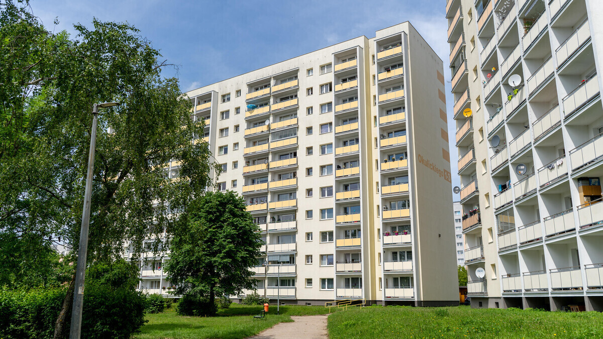 Zdjęcie główne 931827