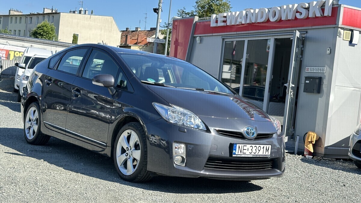 Zdjęcie główne 923797