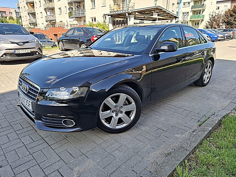 Zdjęcie główne 924676