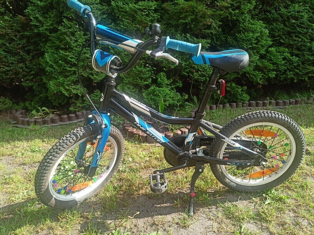 Zdjęcie główne 924071