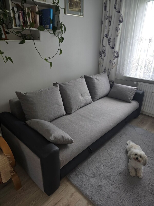 Zdjęcie główne 932870