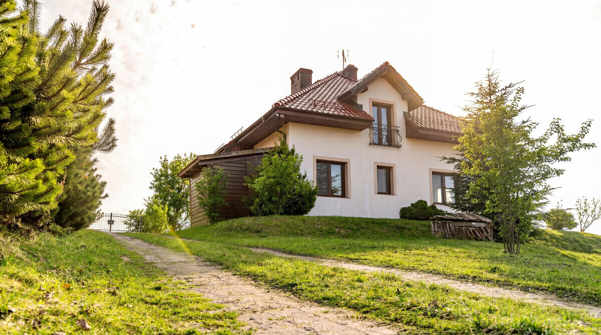 Zdjęcie główne 925645