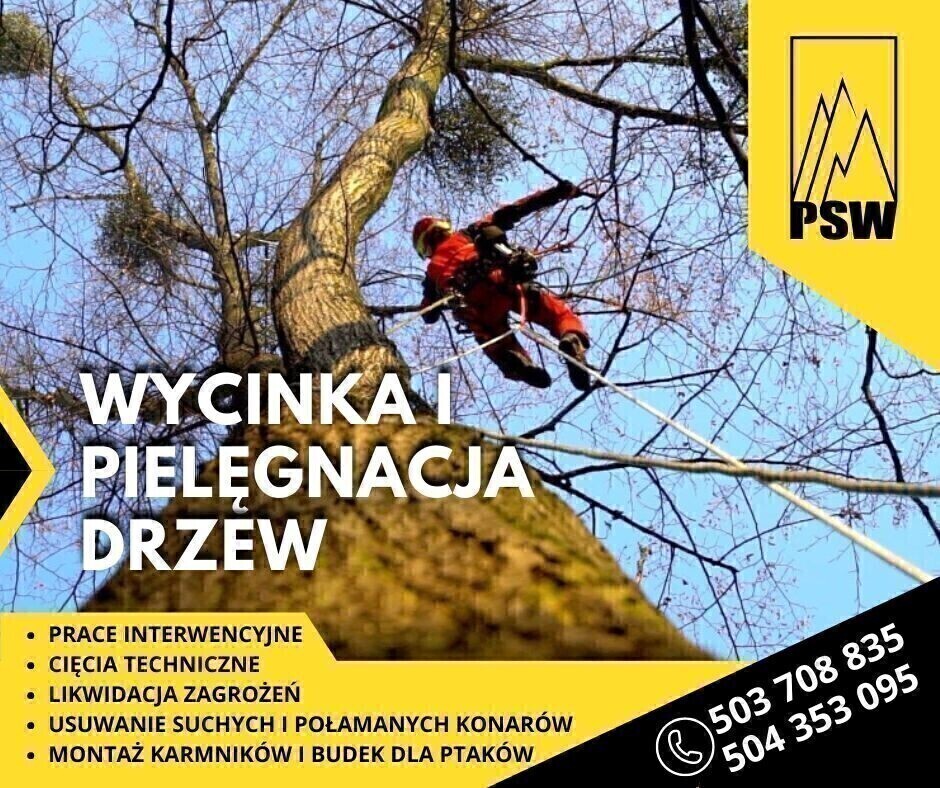 Zdjęcie główne 833955