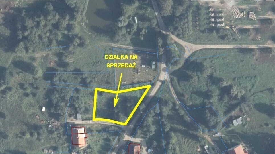 Zdjęcie główne 926489