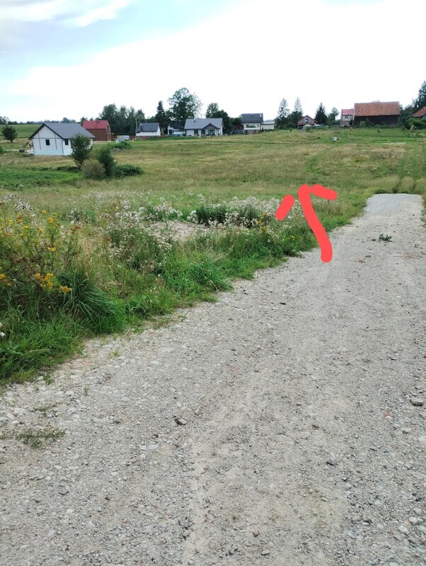 Zdjęcie główne 930649