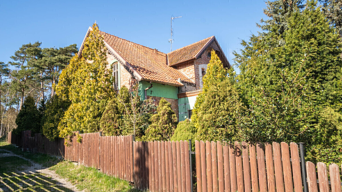 Zdjęcie główne 872147