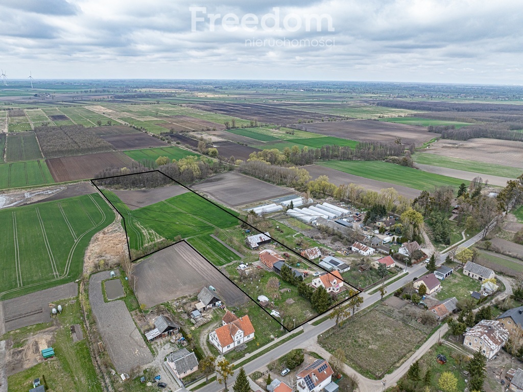 Zdjęcie główne 925018