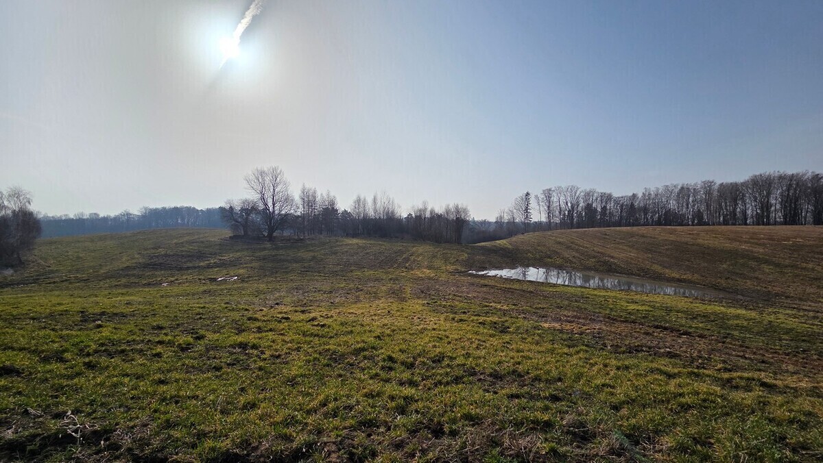 Zdjęcie główne 925178
