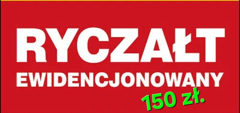 Zdjęcie główne 838496