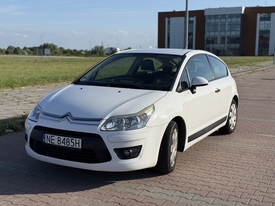 Zdjęcie główne 925395
