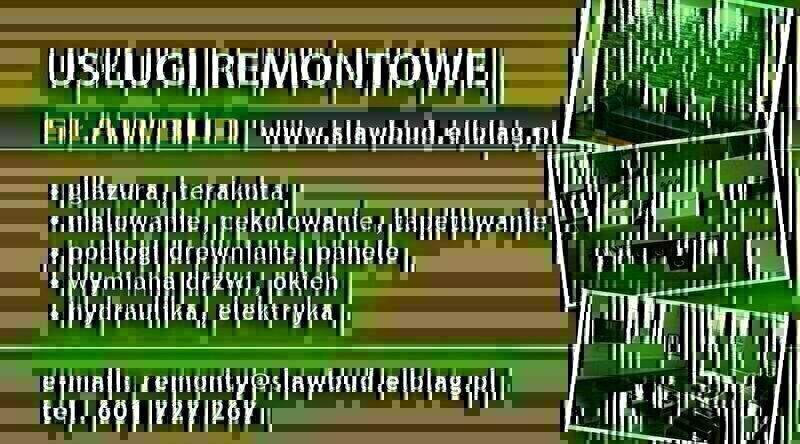 Zdjęcie główne 923957
